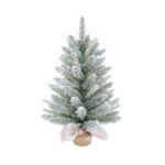 Tree Thuja